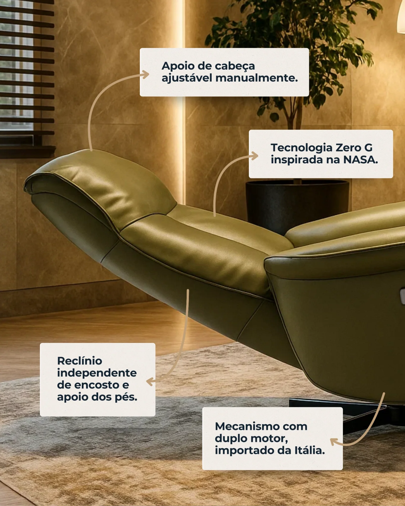 Destaques da Poltrona Levita